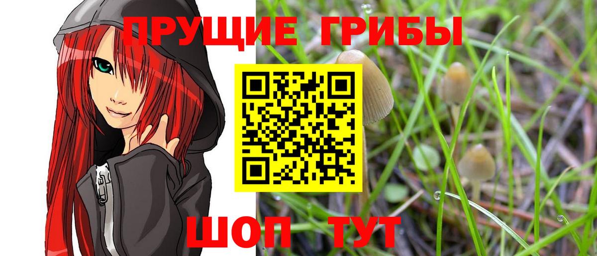 Галлюциногенные грибы мухоморы  Вход с VPN  Псилоцибиновые грибы MAGIC MUSHROOMS  Бахчисарай 